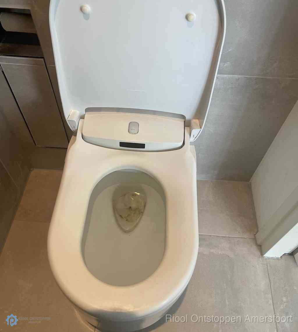 Toilet Ontstoppen Amersfoort Toilet Ontstoppen Amersfoort